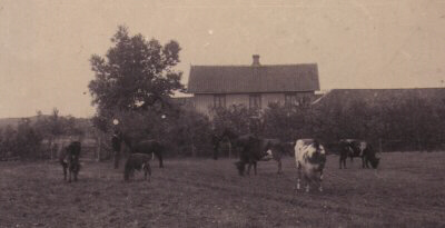 Bön