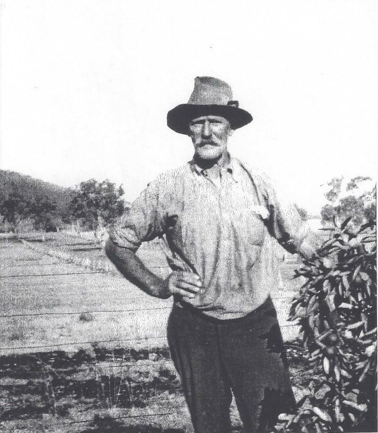 Edward C Andren