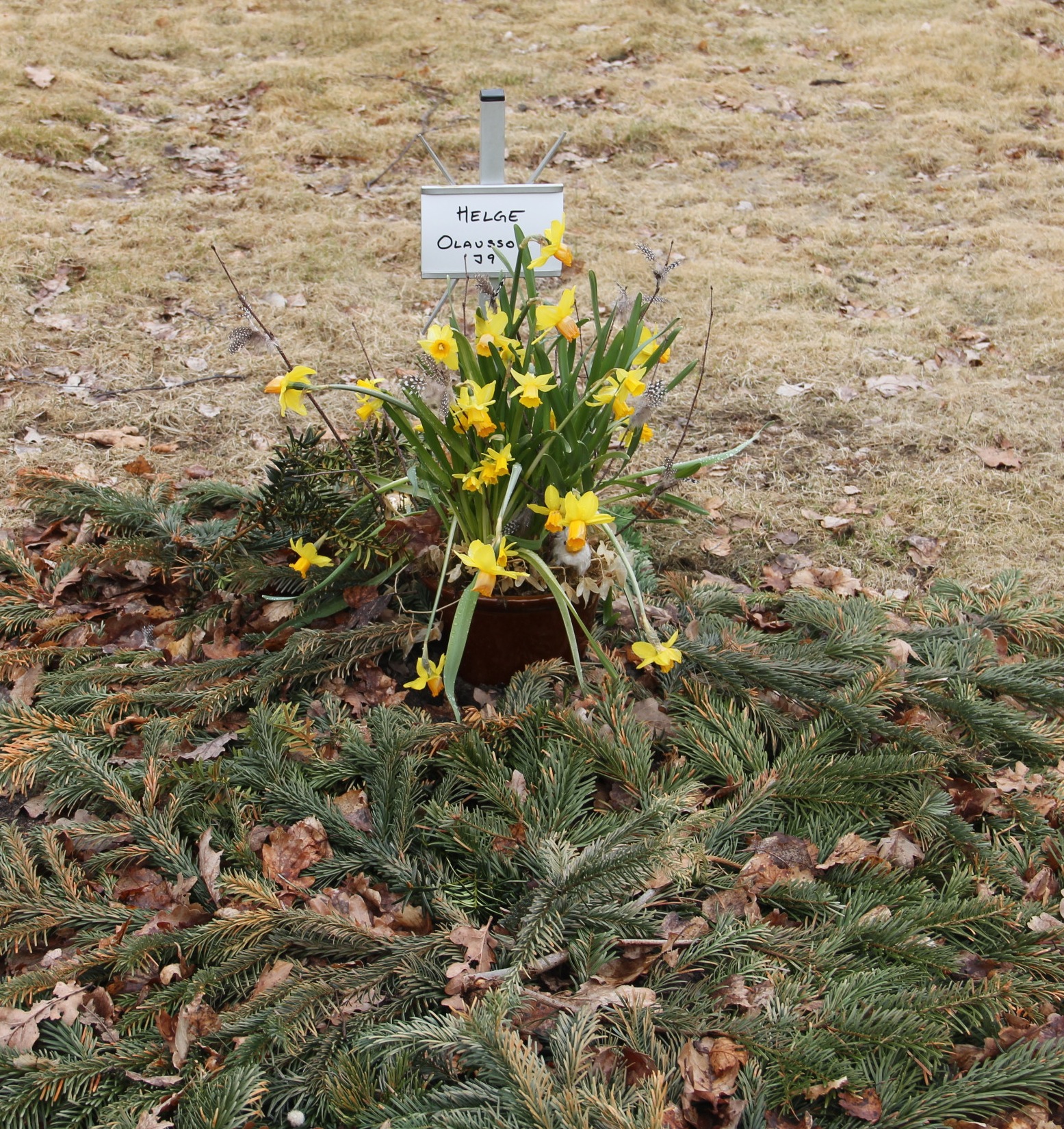 Grav J009 Hönö Kyrkogård