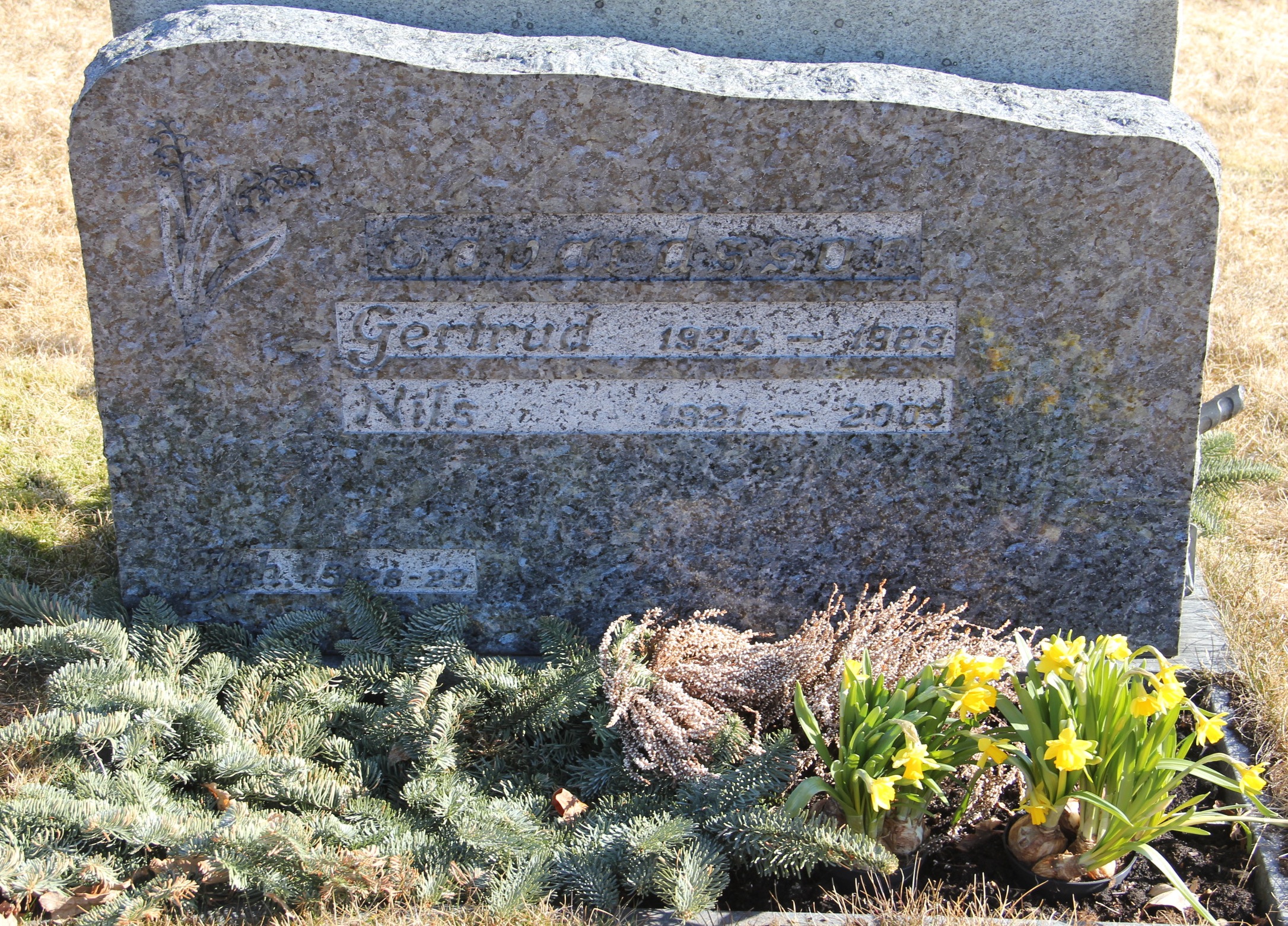Grav F061 Hönö Kyrkogård