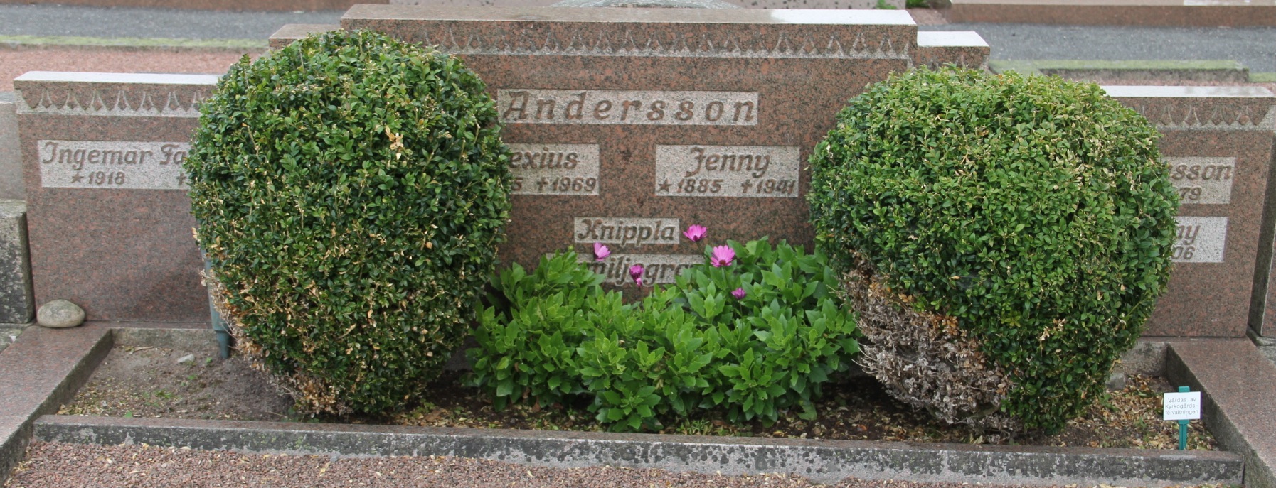 Grav F083 Öckerö Kyrkogård
