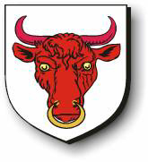 Steffen Romel