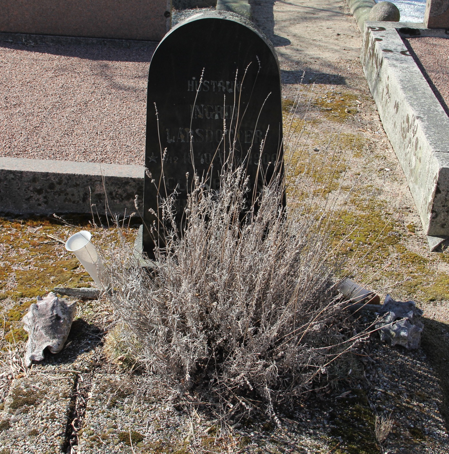 Grav A067 Öckerö Kyrkogård