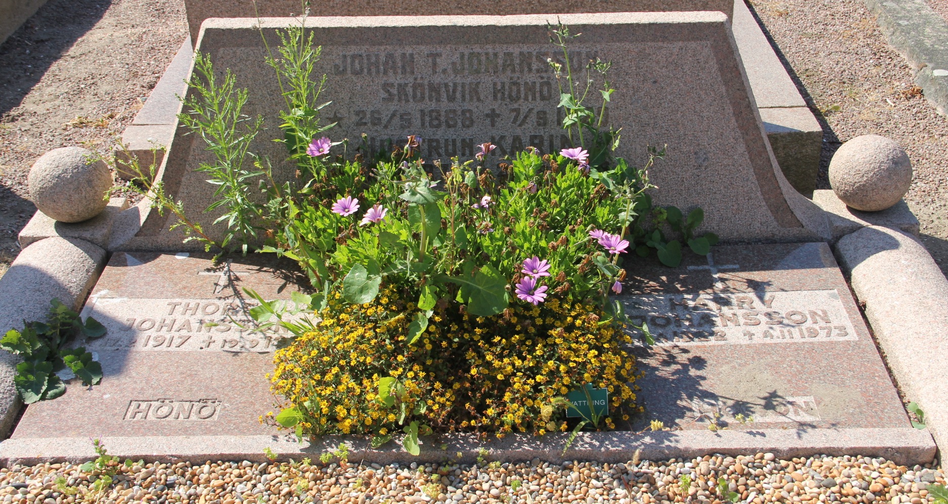 Grav E196 Öckerö Kyrkogård