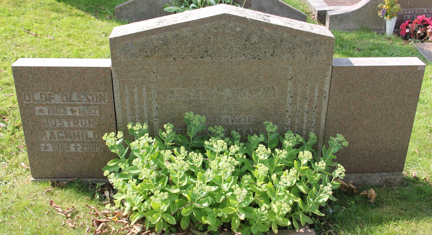 Grav E026 Öckerö Kyrkogård