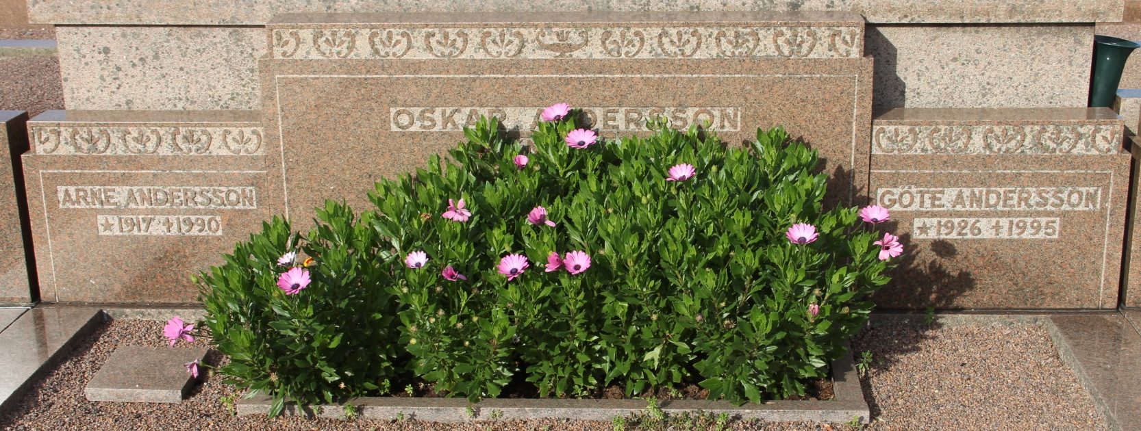 Grav G241 Öckerö Kyrkogård