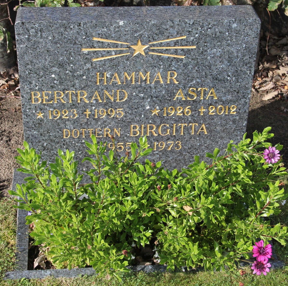 Grav VM035 Öckerö Kyrkogård