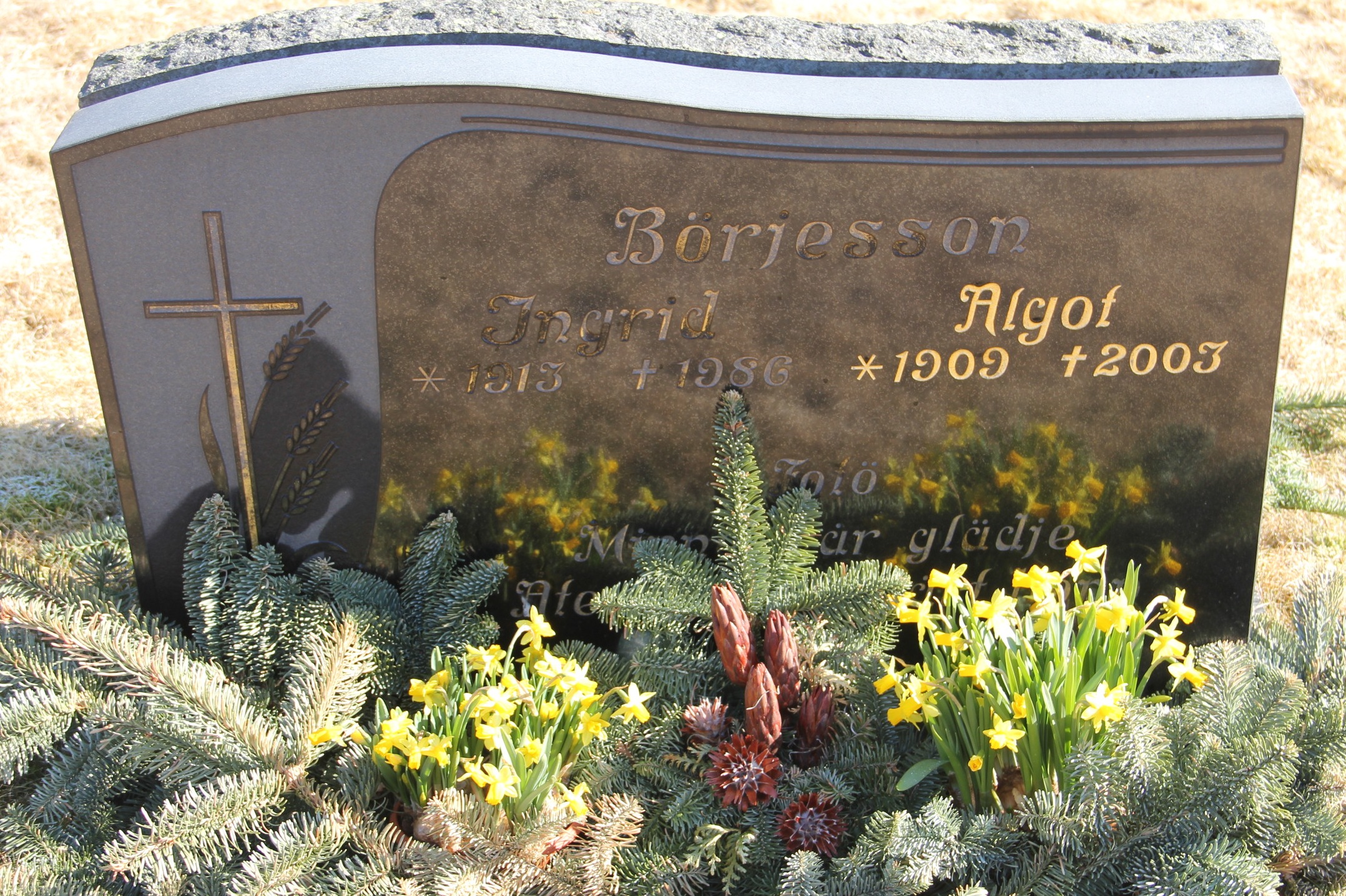 Grav F050 Hönö Kyrkogård