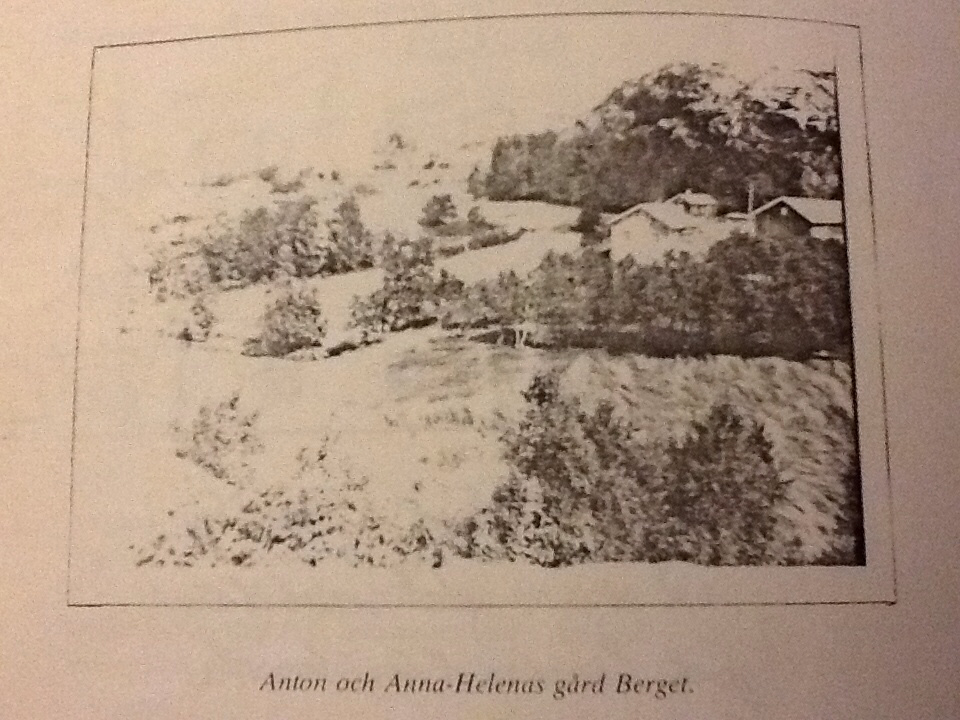 Gården "Berget"