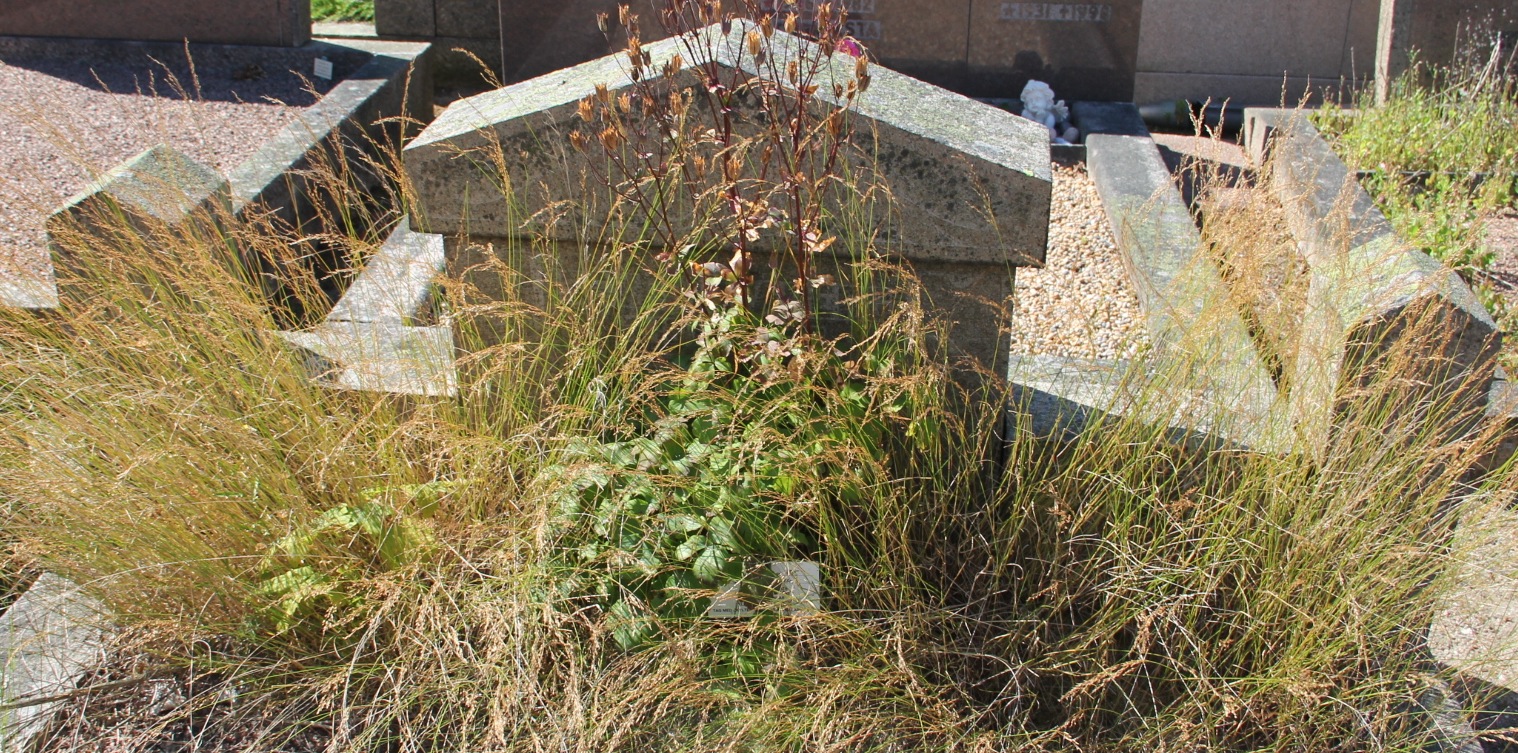Grav E185 Öckerö Kyrkogård