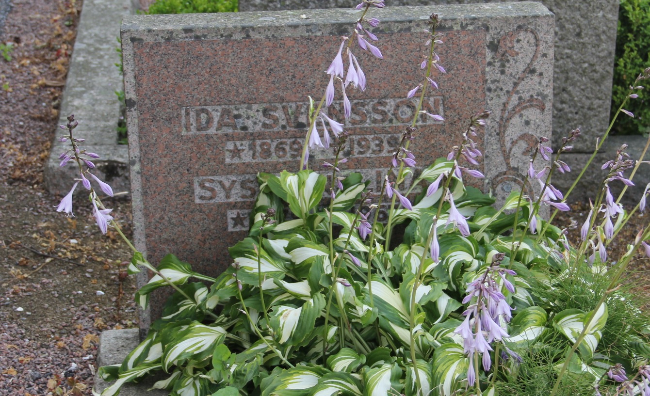 Grav E079 Öckerö Kyrkogård