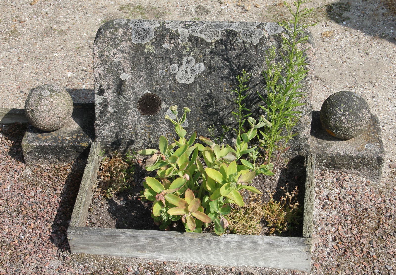 Grav E096 Öckerö Kyrkogård