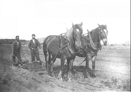 132-7 nr 94 - Arnt Alm o Evert Abrahamsson 1937