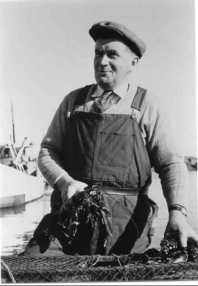 715-6 nr 196 - Fritz Sjöö