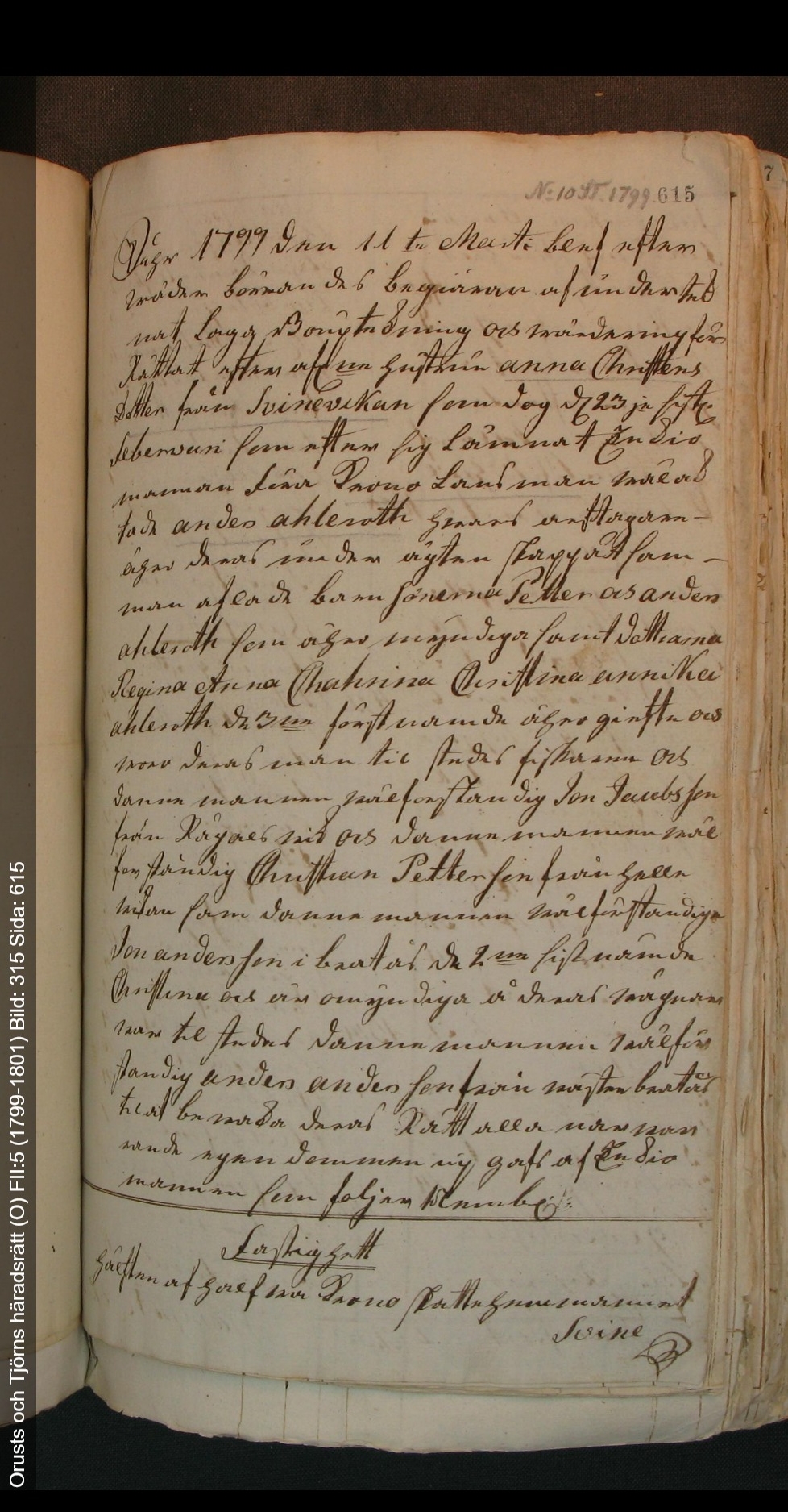 Orusts-och-Tjörns-häradsrätt-O-FII-5-1799-1801-Bild-315-Sida-615