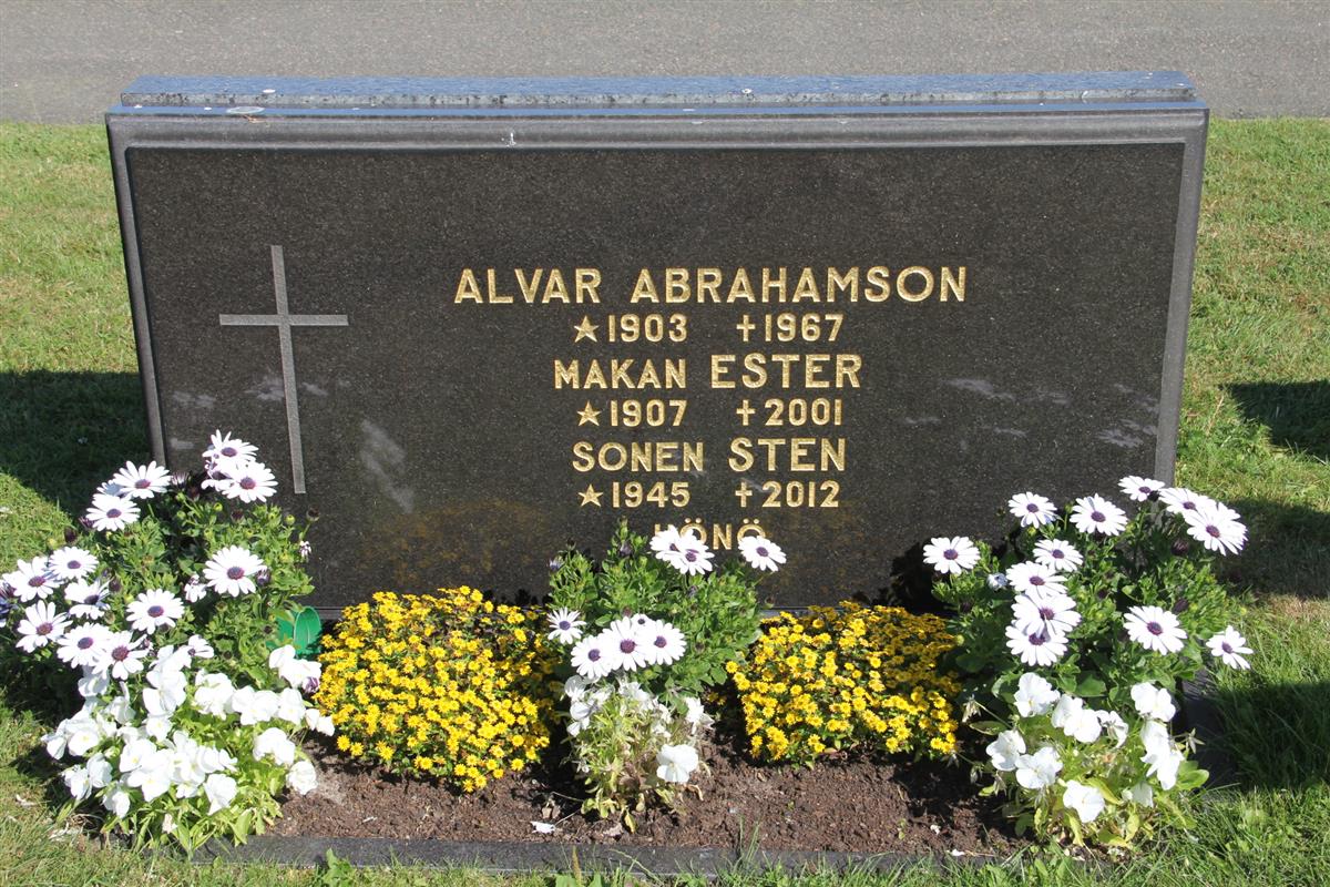 Martin Alvar Abrahamsson