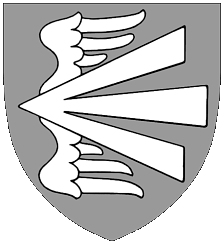Vingad pilspets