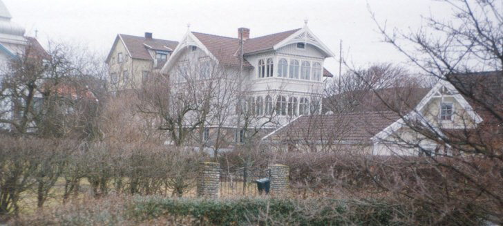 Hönö sjönnevi