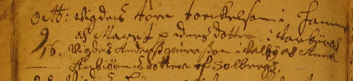 Vigda solberga
