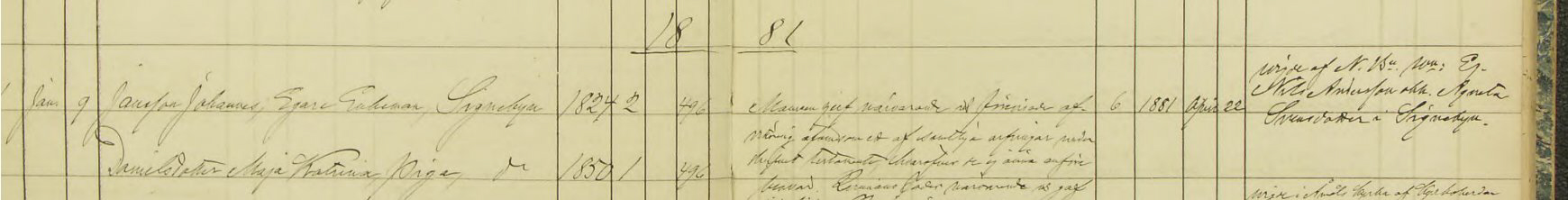 Vigda 1881