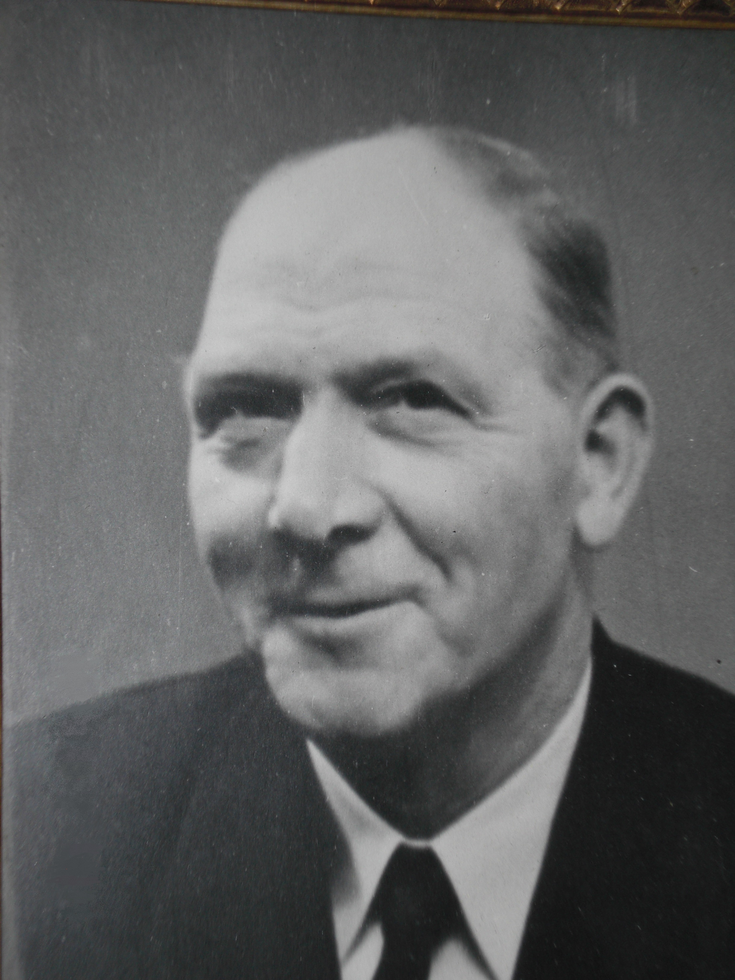 Alarik Nikolaus Johannesson