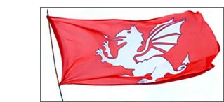White Dragon flag of Anglo-Saxon England