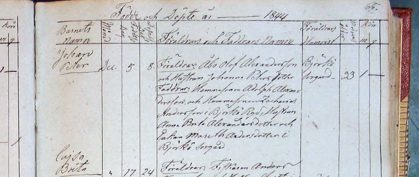 Johan Peter Olofsson född 1844 Öckerö-C-4-1836-1860-Bild-37-sid-65